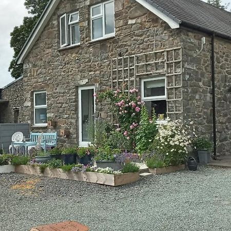 Pant Glas Barn Llanbrynmair Εξωτερικό φωτογραφία