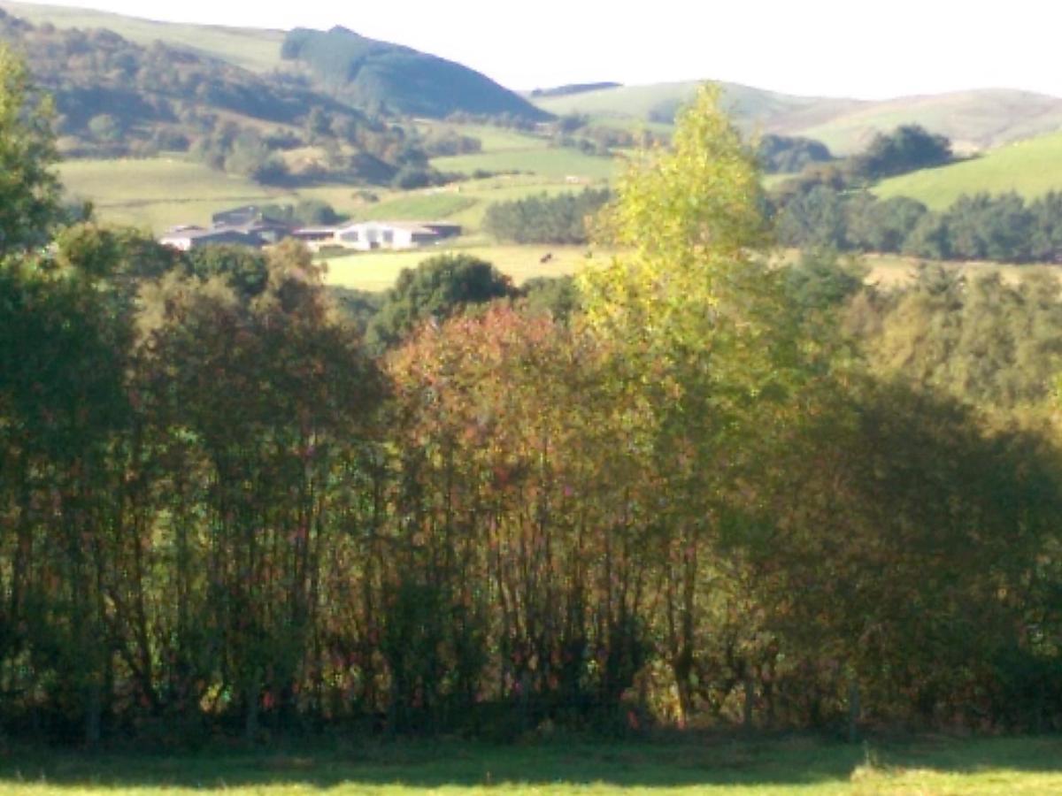 Pant Glas Barn Llanbrynmair Εξωτερικό φωτογραφία