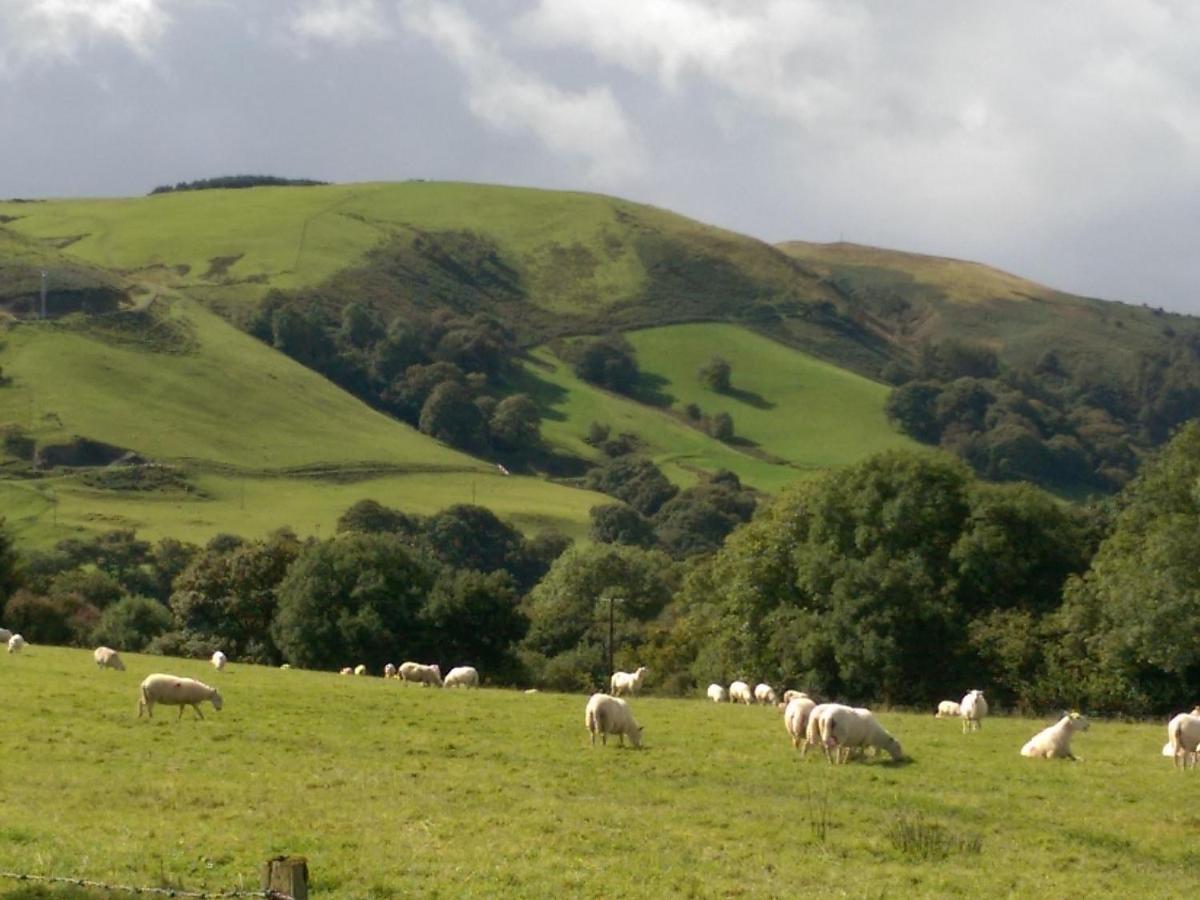 Pant Glas Barn Llanbrynmair Εξωτερικό φωτογραφία