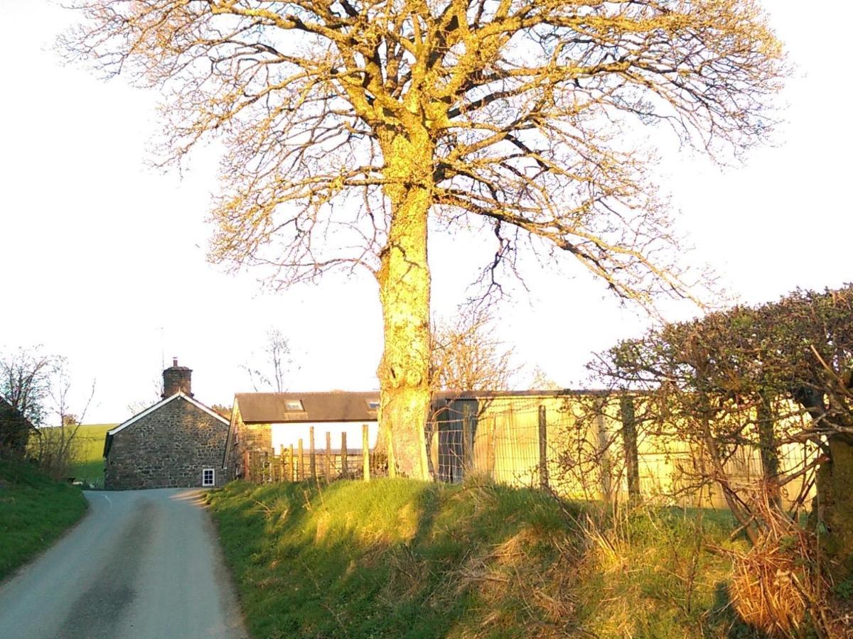 Pant Glas Barn Llanbrynmair Εξωτερικό φωτογραφία
